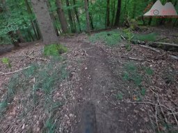 2025-09-15_bad saeckingen_sunneberg_zeiningerberg_01